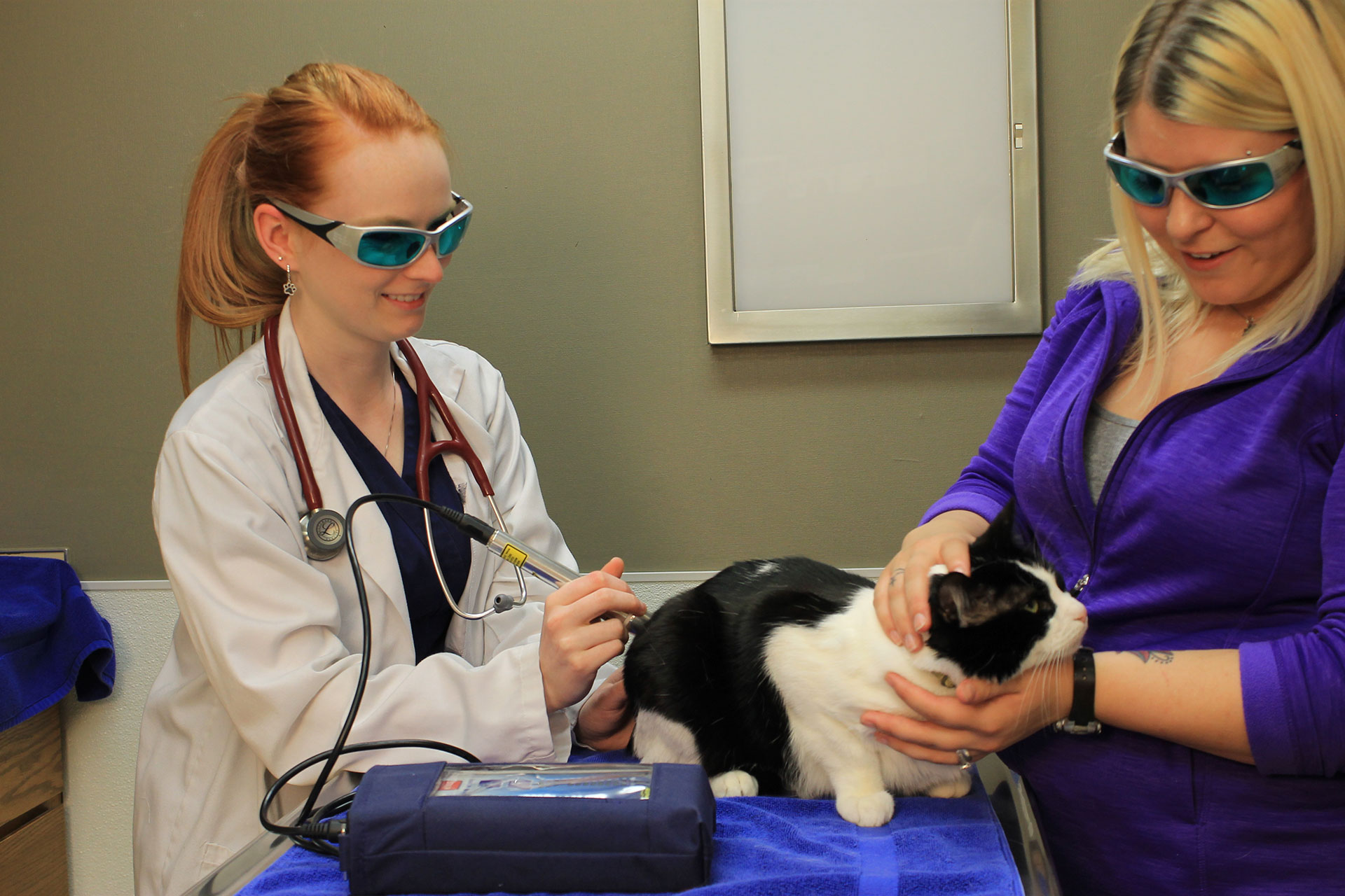 Laser Therapy  Menomonie, WI 